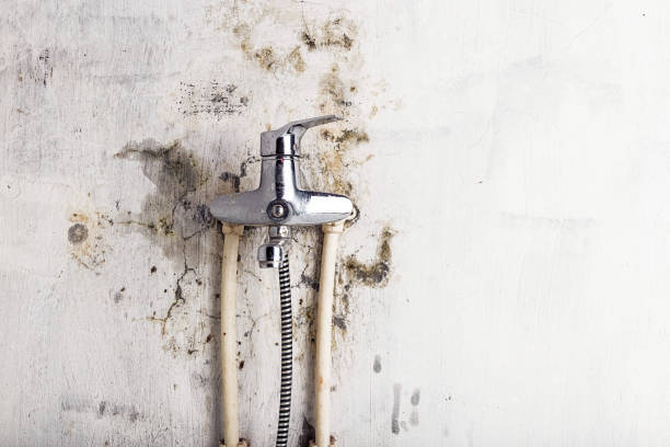 Water Damage Restoration in Horatio, AR